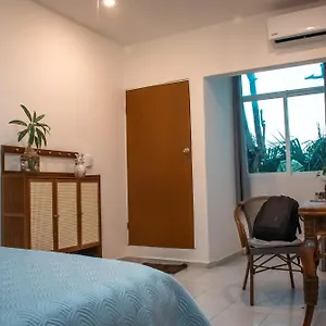 hostal-cuca-macuca.allrivieramayahotels.com/