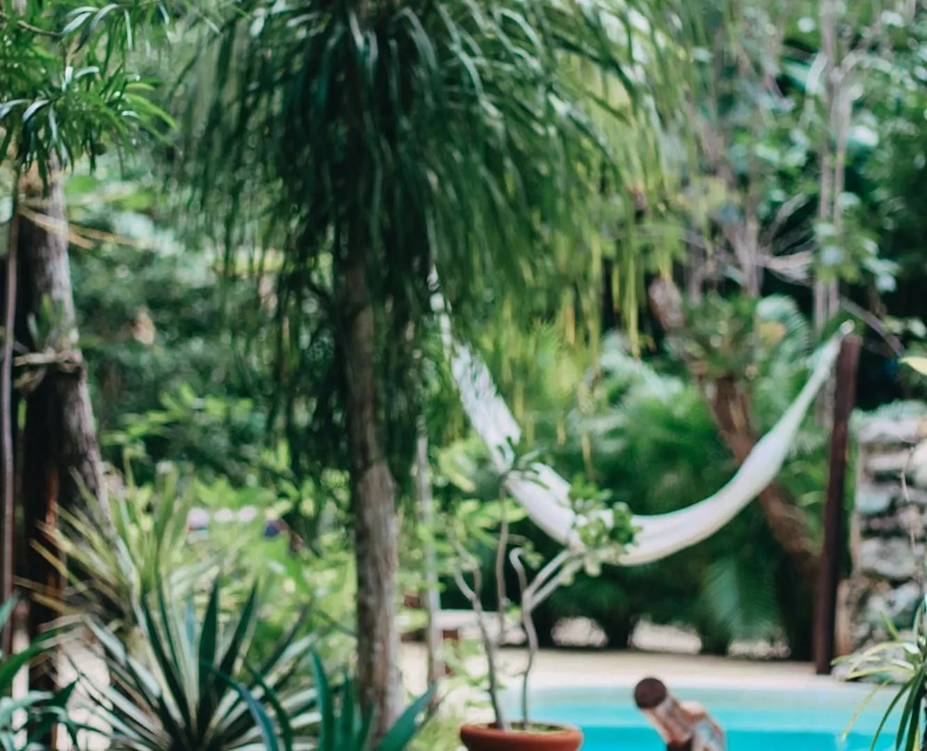 *** Bed & Breakfast Verdeamar Eco Lodge Jungle Retreat Chemuyil Mexiko